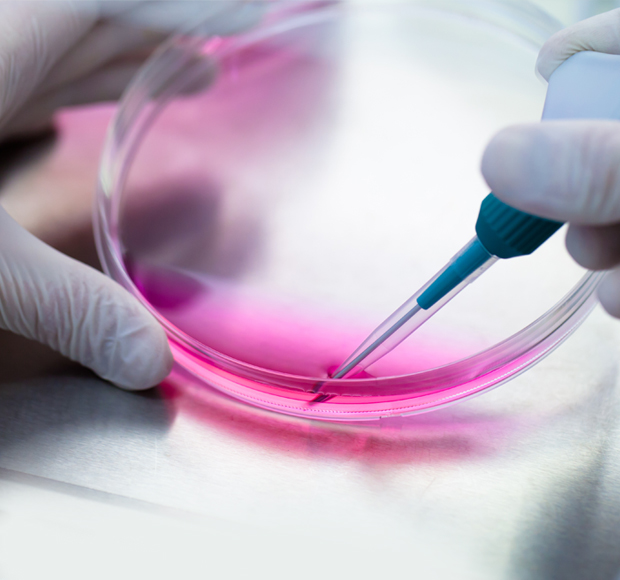 <span>Projet</span>La R&D de Sanofi